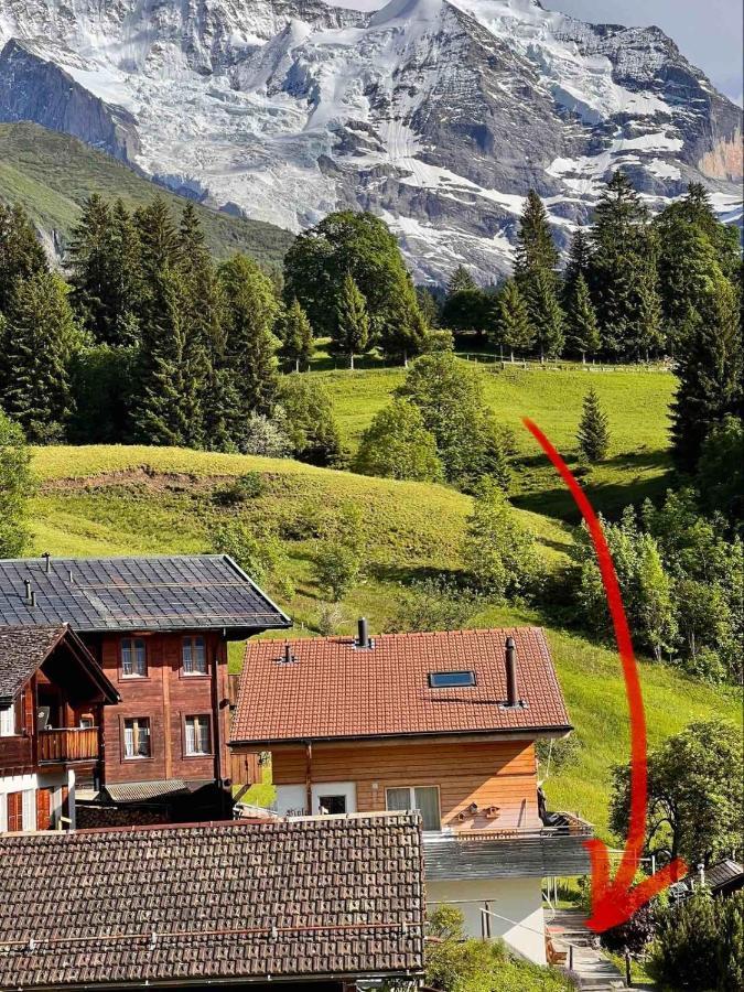 Chalet Viola Apartment Wengen Exterior photo